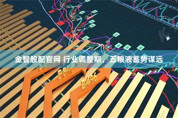 金智股配官网 行业调整期，五粮液蓄势谋远