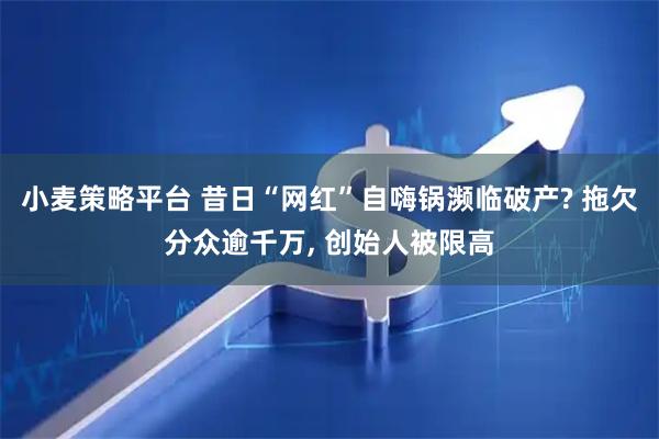 小麦策略平台 昔日“网红”自嗨锅濒临破产? 拖欠分众逾千万, 创始人被限高